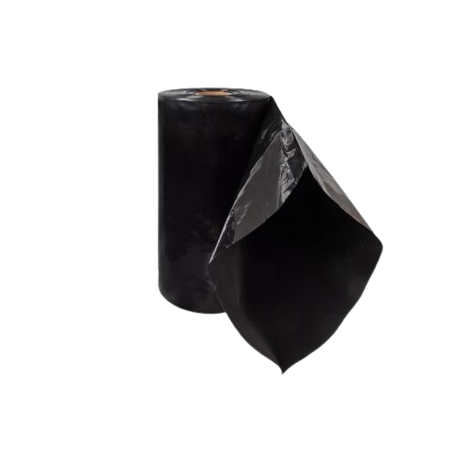 WhatsApp_Image_2025-07-21_at_8.45.21_AM__1_-removebg-preview