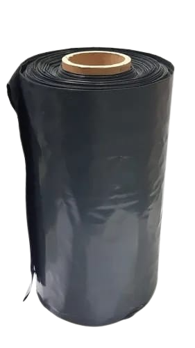 WhatsApp_Image_2025-07-21_at_8.45.23_AM-removebg-preview